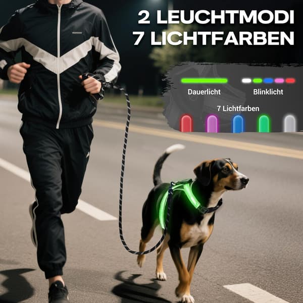 LED Hundselar - Justerbara och Uppladdningsbara med Belysning