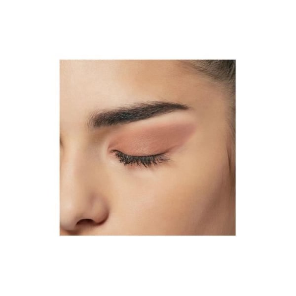 L'Oréal Paris - Color Queen Eyeshadow berikad med oljor - 43 Positive Matte