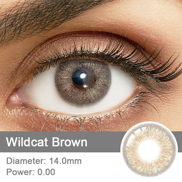 Färgade Linser – Wildcat Series – 12 Månader - Brown
