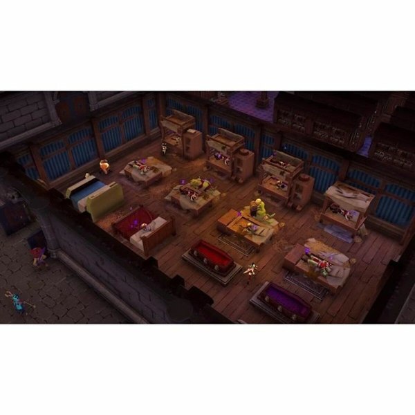 PlayStation 5 Videospel Microids Naheulbeuk : Le Maitre Du