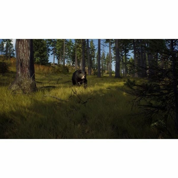 PlayStation 5 Videospel THQ Nordic Way of the Hunter Wild