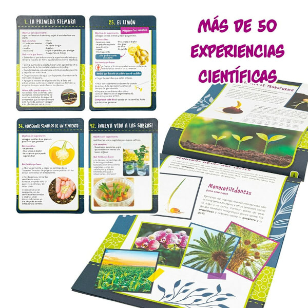 Vetenskapsspel Lisciani Giochi Botánica ES (6 antal)