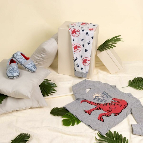 Hustofflor Jurassic Park Ljusgrå 28-29