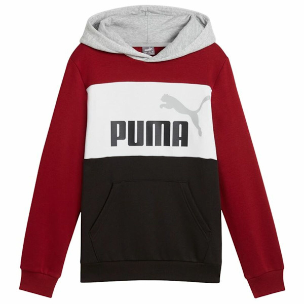 Tröja med huva Unisex Puma Essentials Block 15-16 år