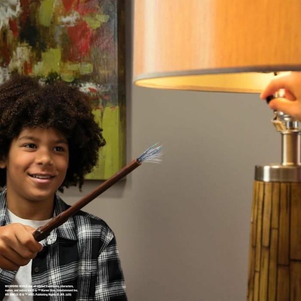 Trollerispel Spin Master HARRY POTTER