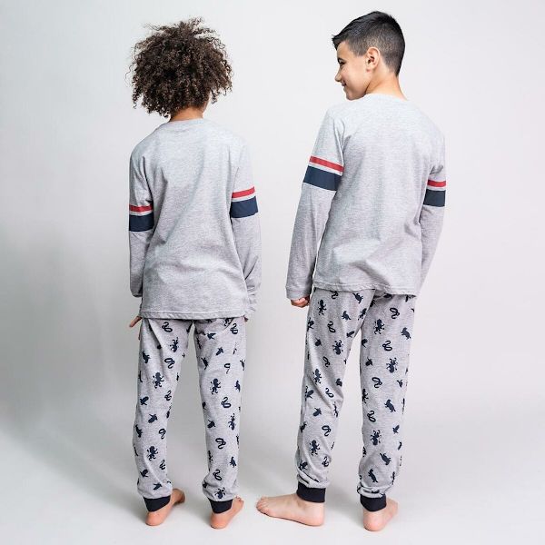 Pyjamas Barn Harry Potter Grå 10 år