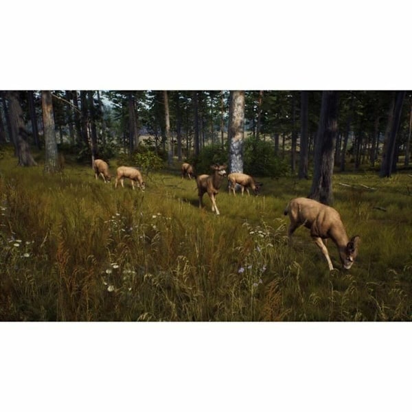 PlayStation 5 Videospel THQ Nordic Way of the Hunter Wild