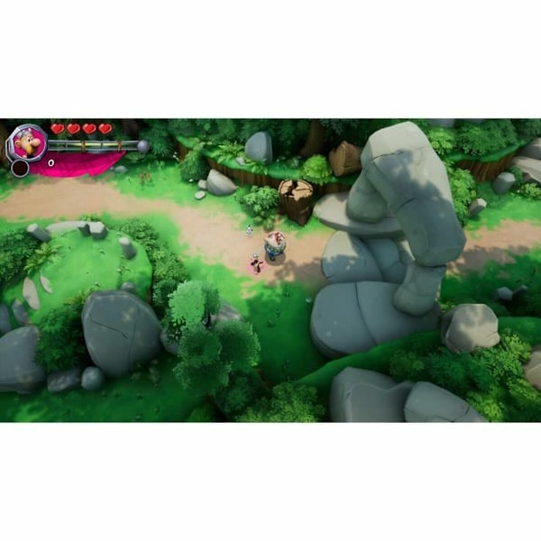 TV-spel för Switch Microids