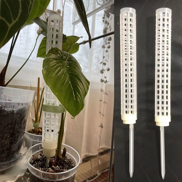 Moss Pole Climbing Coir Moss Totempæle Stick til Monstera Pot White
