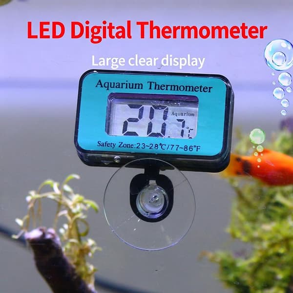 Digital akvarietermometer med LCD-display och sond med sugkopp A