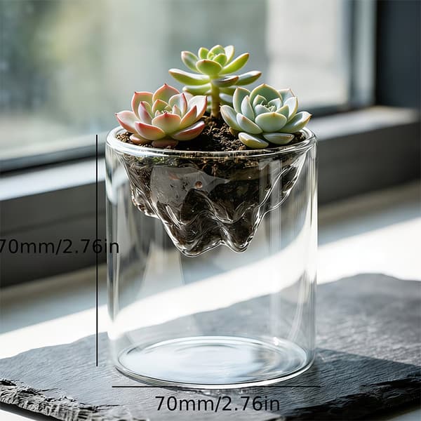 Glas Terrarium Til Bjergudsigt Mos er Hydroponisk Beholder A2