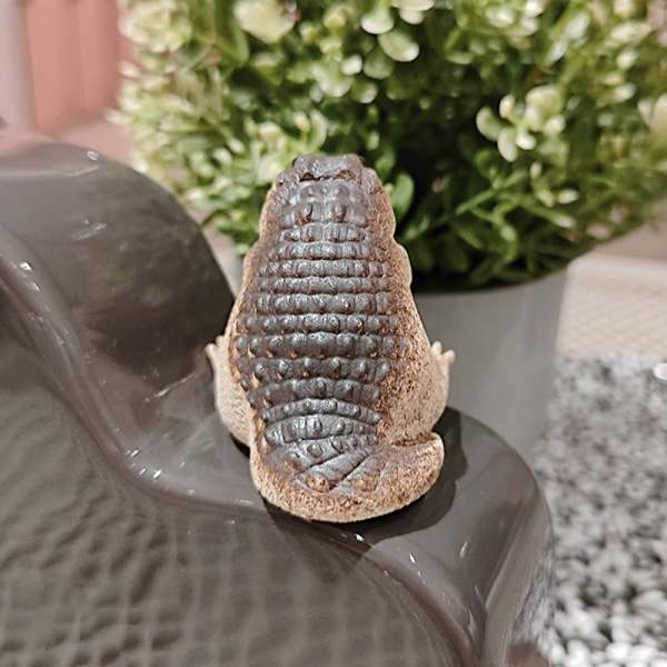 1kpl Hiekkatee Hyväily Little Crocodile Tea Lemmikkikoristeet Tea Pl