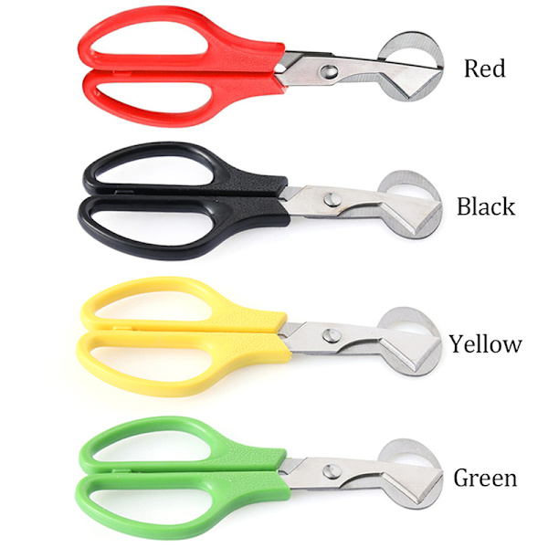 duva Vaktelägg Scissor Bird ter Öppnare Äggskärare Kök Till