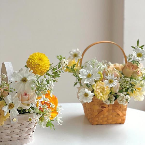 Vide Pil Brud Blomsterkorg Picknickbehållare Handvävd F A2