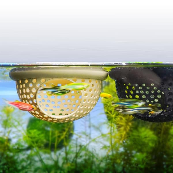Akvarium flydende hængekøjer giver et hvilested for fisk og S5