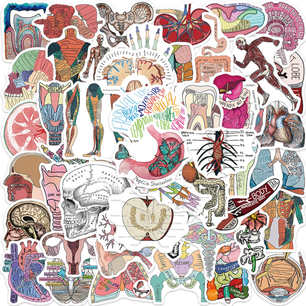 50 st tecknade mänskliga organ och anatomi DIY Graffiti Vattentät St