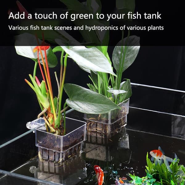 2/5/10 st vattenkopp hydroponisk odlingskopp akvarietillbehör 2Pcs