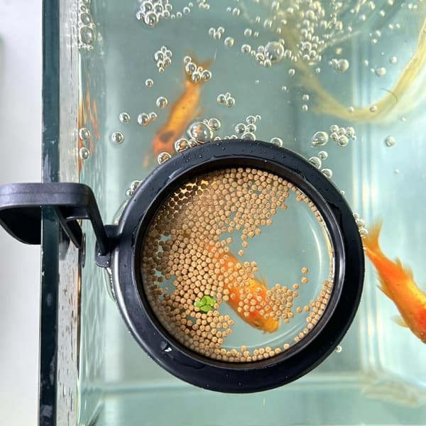 1/2/5 st akvariefoderring fisktankstation flytande bricka 1Pc