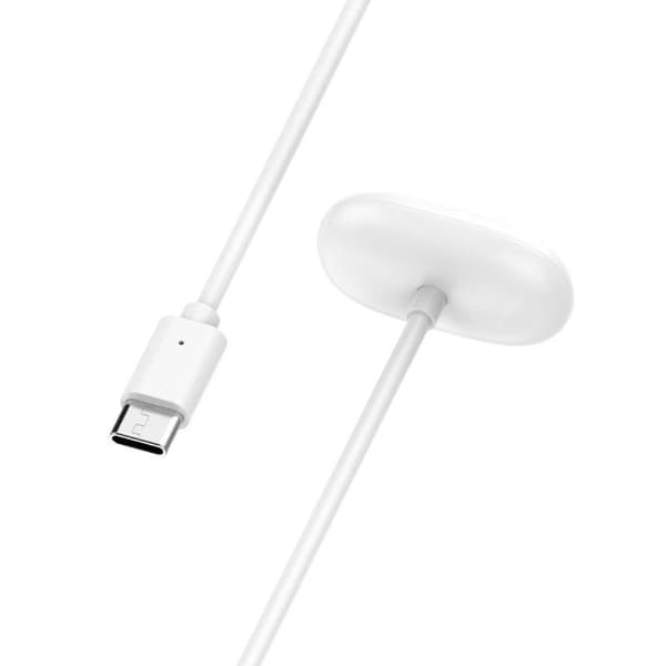 1 stk Fitbit Air magnetisk ladekabel USB-A og Type-C lader A1