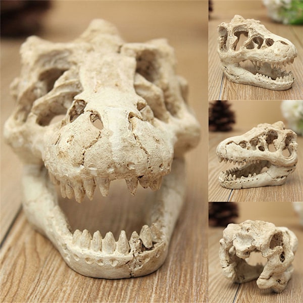 Resin Crocodile Skull Terrarium Reptile Fish Tank Ornament Aqua