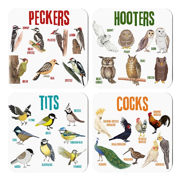 Bird Coasters Funny Bird Pun Coasters Ympäristöystävällinen imukykyinen De