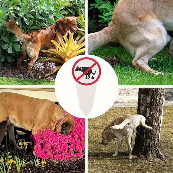 \"Ingen hundbajs\" Plastskylt Ingen bajs Varningsskylt Trädgård A4