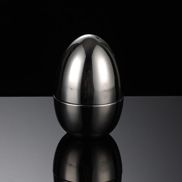 Ægformet tandstikholder 304 rustfrit stål tandstikbeholder Silver
