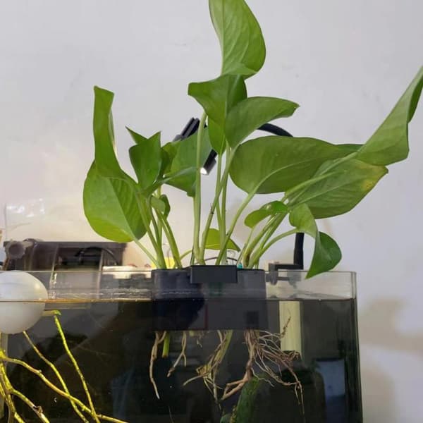 1/2/3 st Akvarium Stödkorg Odlingställ Dekorationsställ 3Pcs