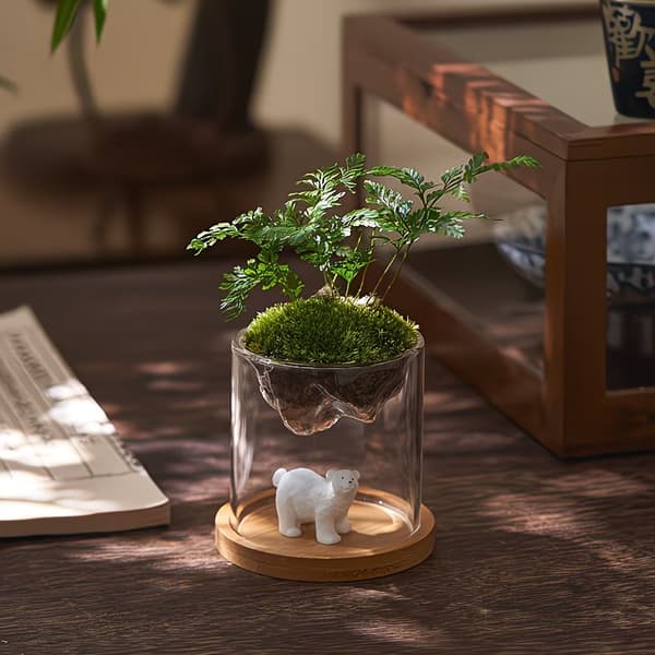 Glas Terrarium Til Bjergudsigt Mos er Hydroponisk Beholder A5