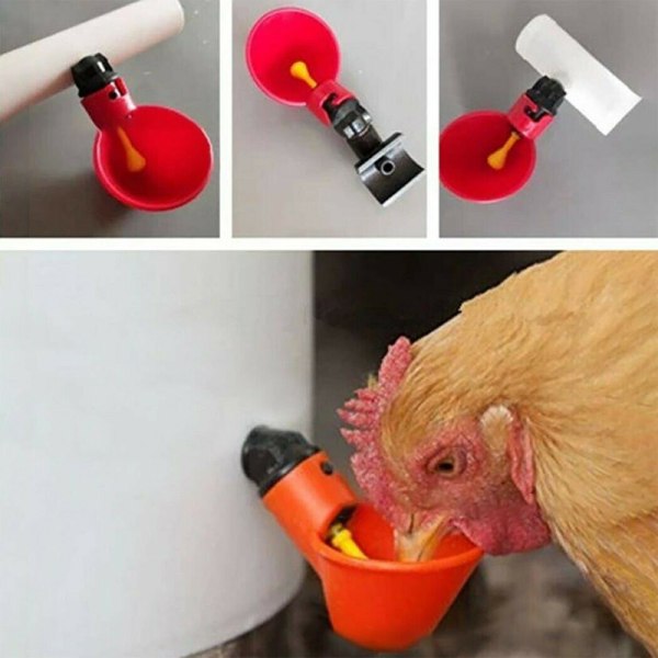 10 stk kylling fugl høne vand drikkekop automatisk fjerkræ drikker A