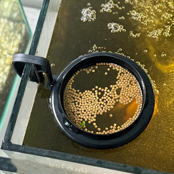 1/2/5 st akvariefoderring fisktankstation flytande bricka 1Pc