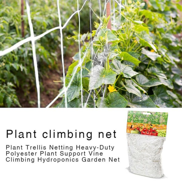Hageplante klatrenett gjerde espalier netting støtte 10m