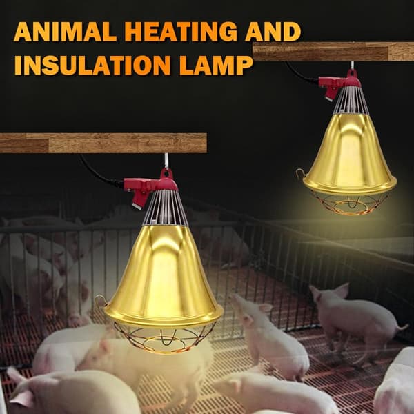 Avl Isolasjon Lampeskjerm Lampe Grisefarm Dedikert Gris Speci Lampshade