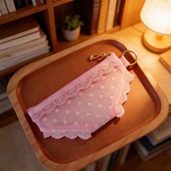 Kosmetikväska i mesh med spetskant, transparent design och bärbar A2