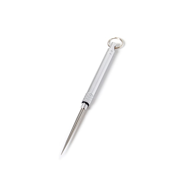 Titanium bärbar multifunktionell tandpetare flaska frukt Silver