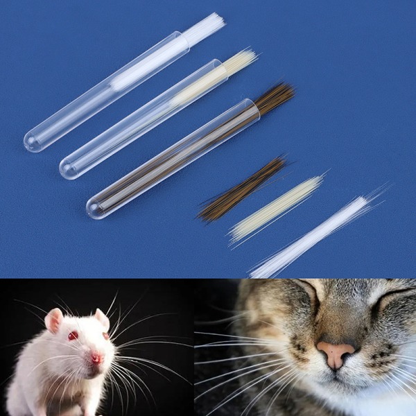 Simulering Katt Skägg Djur Skägg Ull Filt DIY Tillbehör Art white 600pcs