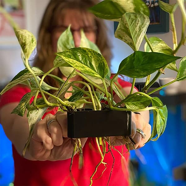 1/2/3 st Akvarium Stödkorg Odlingställ Dekorationsställ 2Pcs