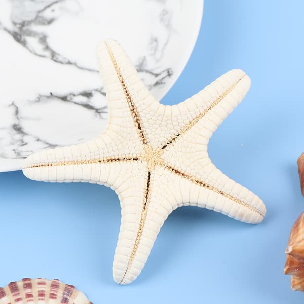Starfish Crafts Decor Starfish DIY Shell Sea Fish Party Beige S