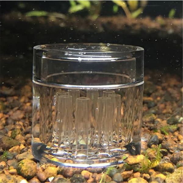 8-hulls sneglefelle gratis agn for akvariefiskplanter