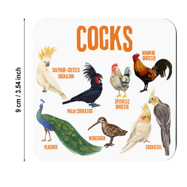 Bird Coasters Funny Bird Pun Coasters Miljøvennlig Absorberende De