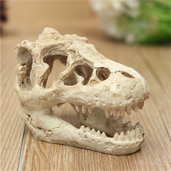 Harpiks Krokodille Skull Terrarium Reptil Fish Tank Ornament Aqua