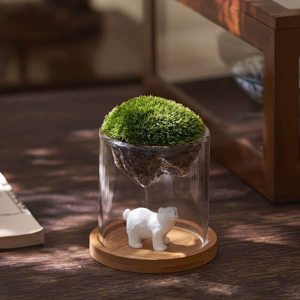 Glas Terrarium Til Bjergudsigt Mos er Hydroponisk Beholder A5