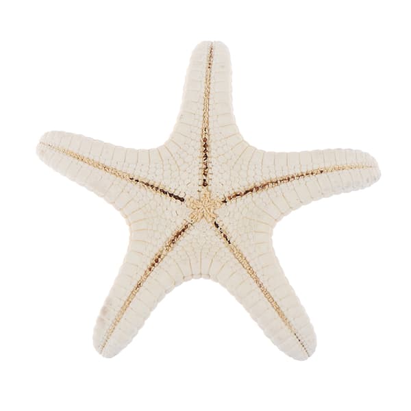 Starfish Crafts Decor Starfish DIY Shell Sea Fish Party Beige S