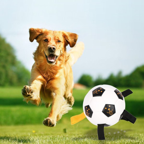 Hundeleke Fotballleker For Valp store Hunder Utendørstrening b030 | Fyndiq