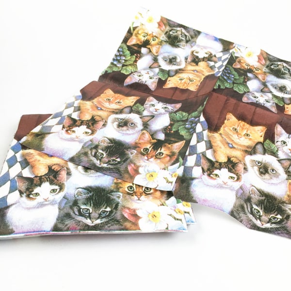20 arkkia Kissat Paperiset lautasliinat juhlavat pehmolautasliinat