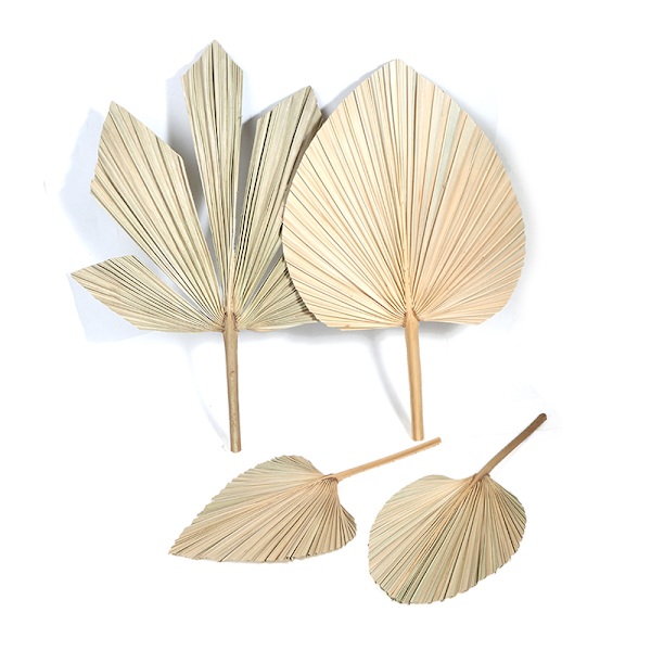 Palm Fan Leaf Torkad Blomma Palm Leaf Festdekoration Bröllop S C