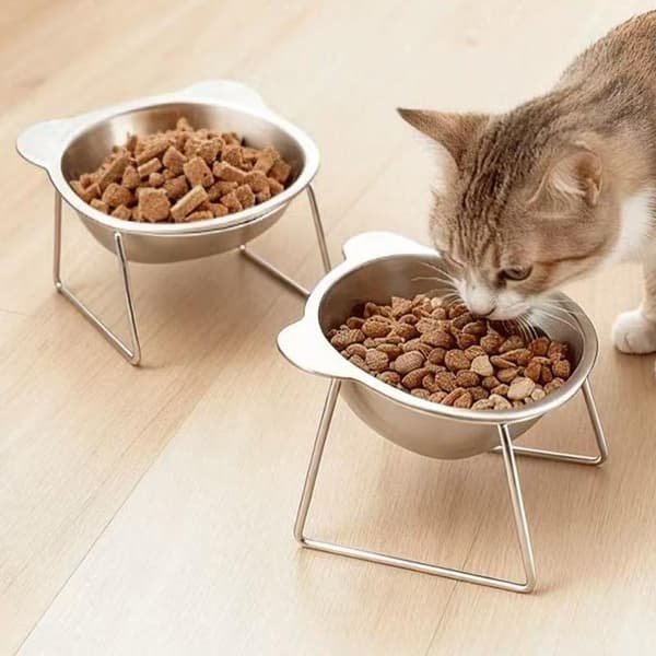 Kæledyrsskåle i rustfrit stål til katte og hunde Vandskåle og nødvendigheder A2