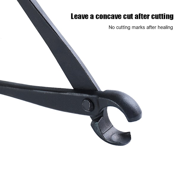 Bonsai Knob ter Konkav Edge ter Root ting Tång Ball Shear Sc