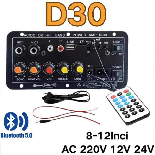 D30 D10 Förstärkare 12V24V Högeffektsförstärkare med Bluetooth Ca D30II