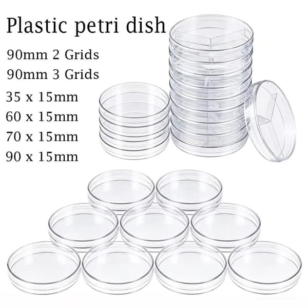10 st plastpetriskålar 35 60 75 90 mm runda transparenta celler 90mm 2 Grids 10pcs